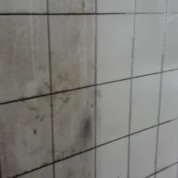 Kafelki ścienne częściowo wyczyszczone, widoczne różnice w czystości powierzchni, armatura z niebieskim uchwytem w lewym dolnym rogu.