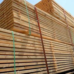 PALPOL - Drewno Konstrukcyjne Prabuty