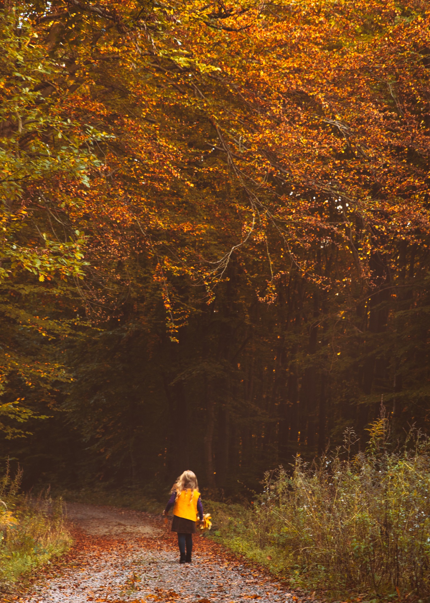 Dziewczynka w żółtej kamizelce idzie leśną ścieżką usłaną opadłymi, jesiennymi liśćmi, trzymając bukiet liści w dłoni.