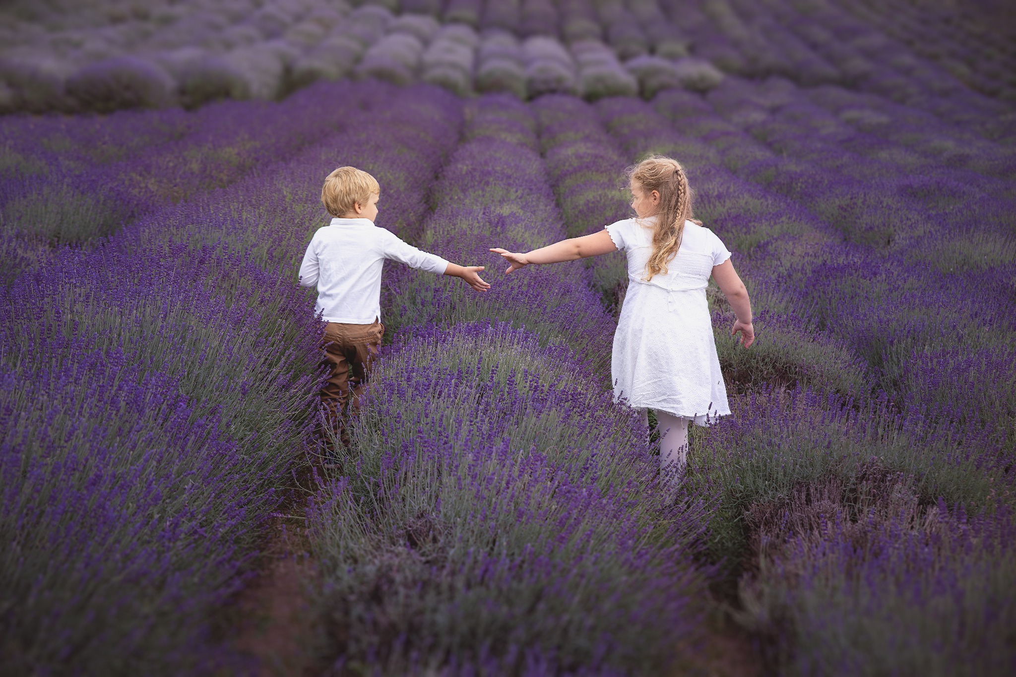 Chłopiec i dziewczynka w białych ubraniach wyciągają do siebie ręce na polu lawendy w delikatnym, rozmytym ujęciu.