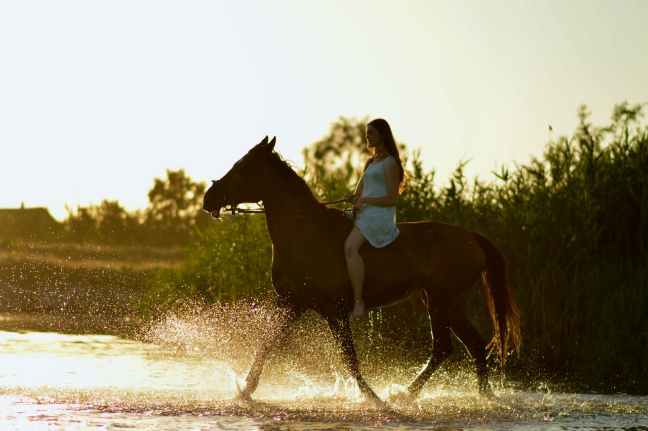 Młoda kobieta w jasnej sukience galopuje na brązowym koniu przez płytką wodę, bryzgając wodą w promieniach zachodzącego słońca, z trzcinami i drzewami w tle.