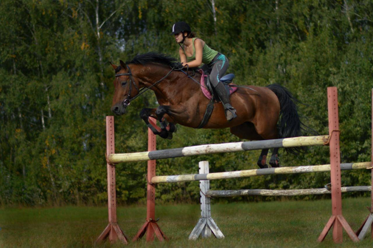 Jeździec na brązowym koniu skacze przez przeszkodę na tle zieleni.