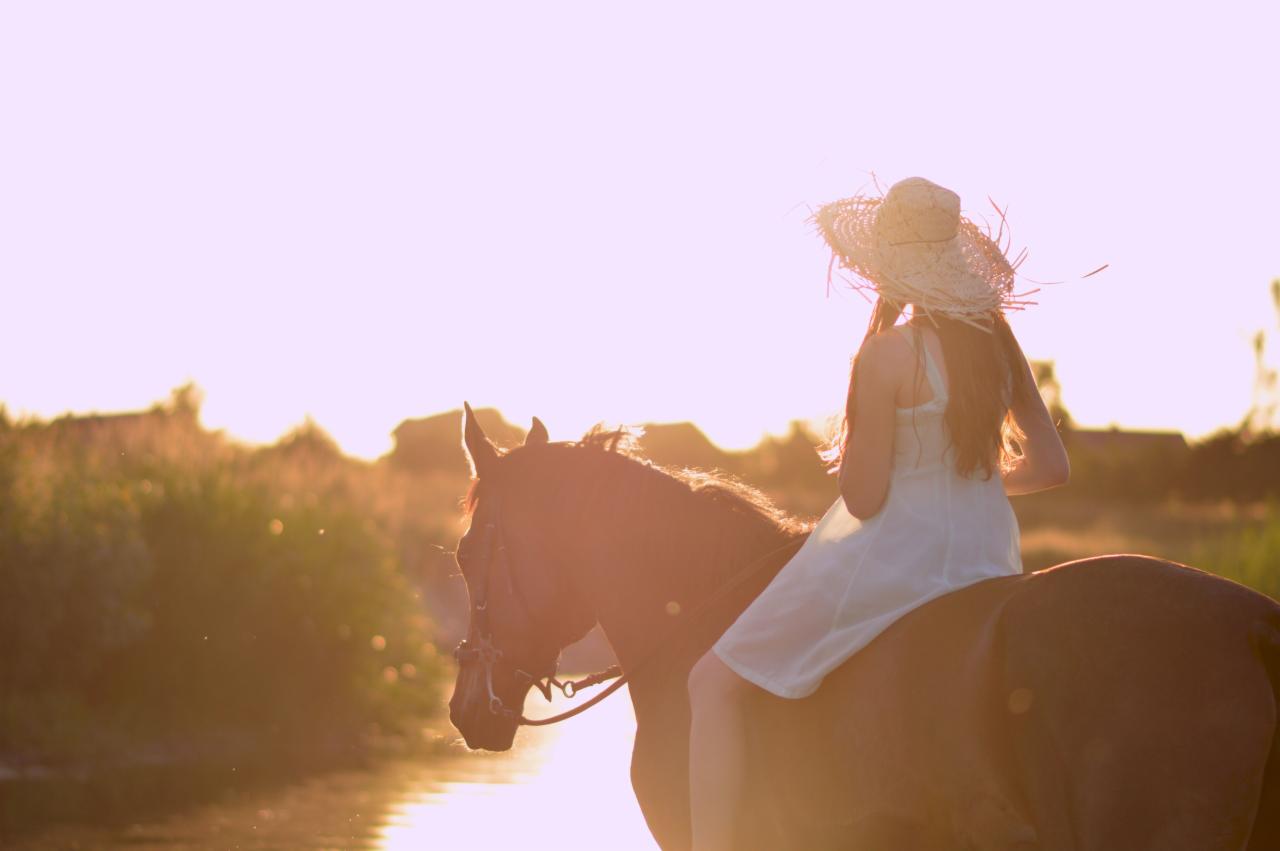 Dziewczyna w białej sukience i słomkowym kapeluszu siedzi na koniu w promieniach zachodzącego słońca, widok z tyłu.