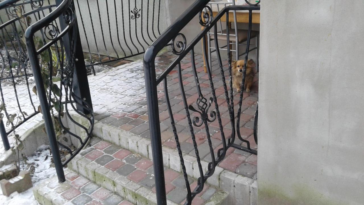 Czarne, kute balustrady schodowe z ozdobnymi elementami, prowadzące do domu, z widocznym fragmentem chodnika z kostki brukowej i psem w tle.