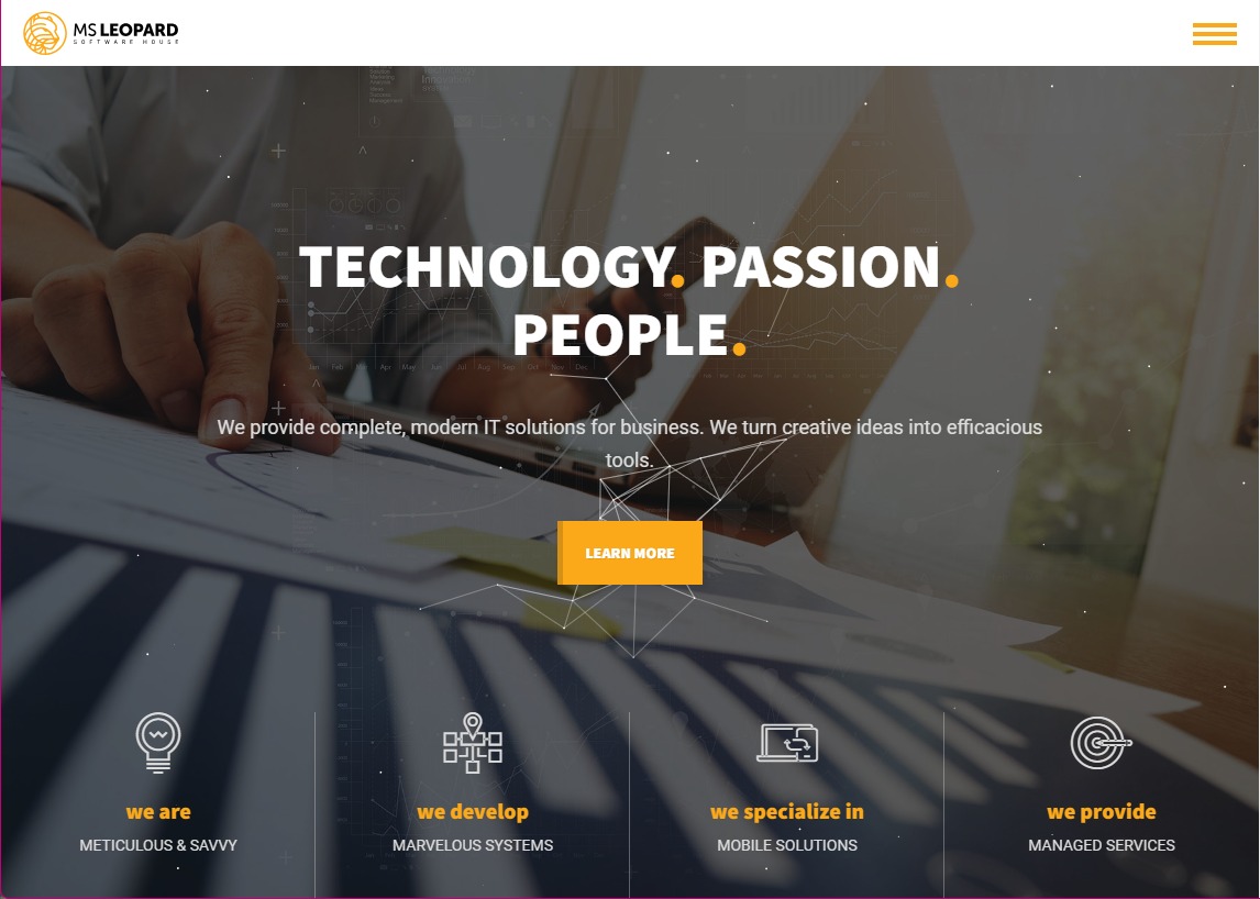 We are IT specialists.