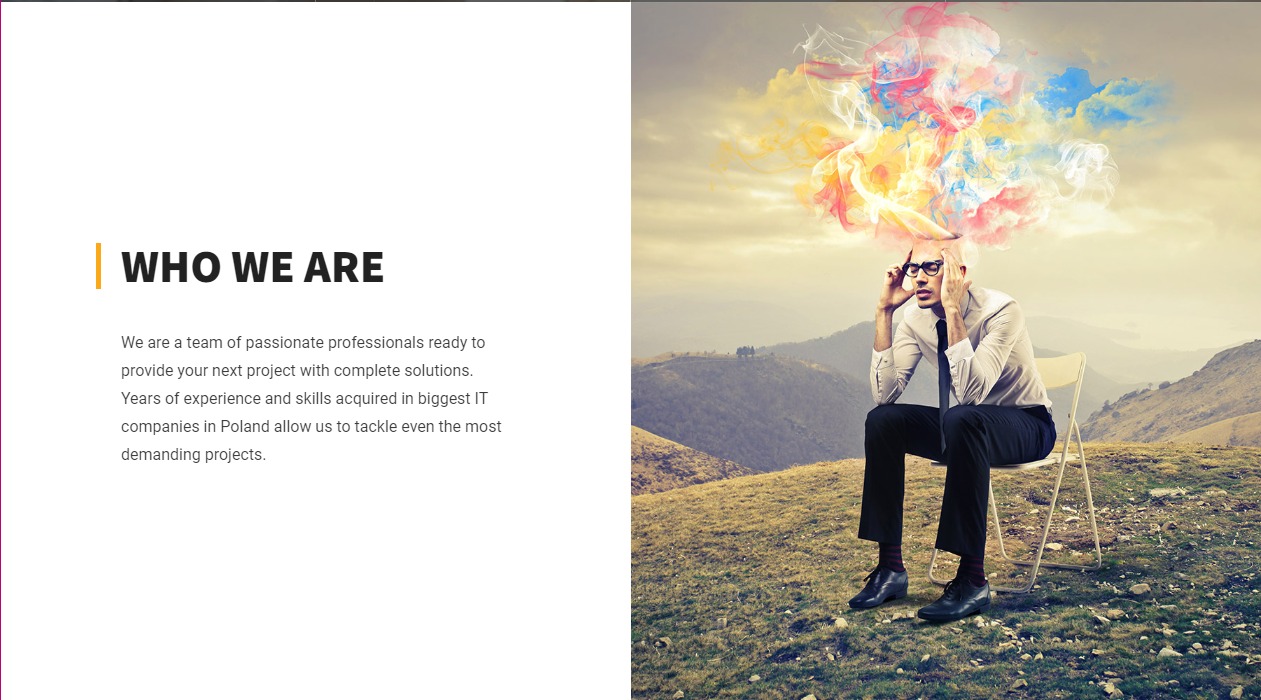Mężczyzna w okularach siedzi na krześle na wzgórzu, z kolorową chmurą pomysłów nad głową, obok tekst 'WHO WE ARE' i opis zespołu IT.