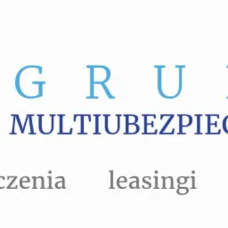 Logo firmy oferującej ubezpieczenia, leasingi i kredyty, z symbolem trzech błękitnych łuków tworzących wir.