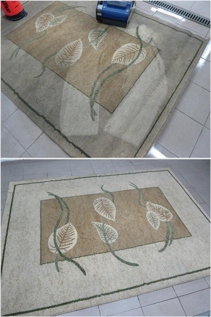 Dwu-częściowe ujęcie dywanu z motywem liści przed i w trakcie czyszczenia, z widocznym fragmentem urządzenia czyszczącego na górze.
