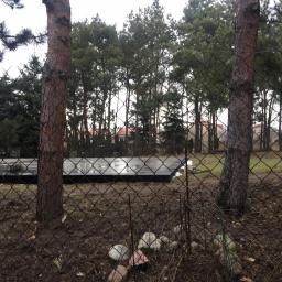 Alex Sp zoo - Przygotowany, mokry fundament pod budowę domu, widoczny przez siatkę ogrodzeniową i drzewa iglaste w tle.