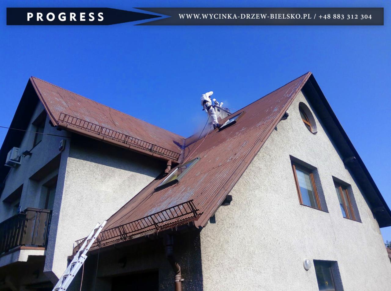 Pracownik w kombinezonie ochronnym czyści dach domu jednorodzinnego pod wysokim ciśnieniem, w tle błękitne niebo.