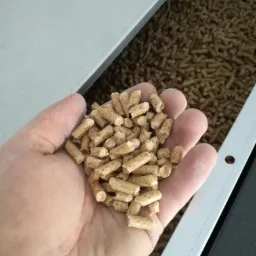 Garść jasnych pelletów drzewnych trzymana nad otwartym pojemnikiem wypełnionym tym samym materiałem, widoczna metalowa krawędź pojemnika.