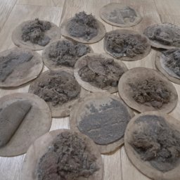 TO CO WIDAĆ NA FILTRACH MIKRON MAGIK TO  BAKTERJE ODCHODÒW ROZTOCZY GRZYBÓW PLEŚNI ORAZ GRONKOWCA I ZGNIŁY NASKUREK . KTÒRY JES POZYWKĄ DLA ROZTOCZY. 