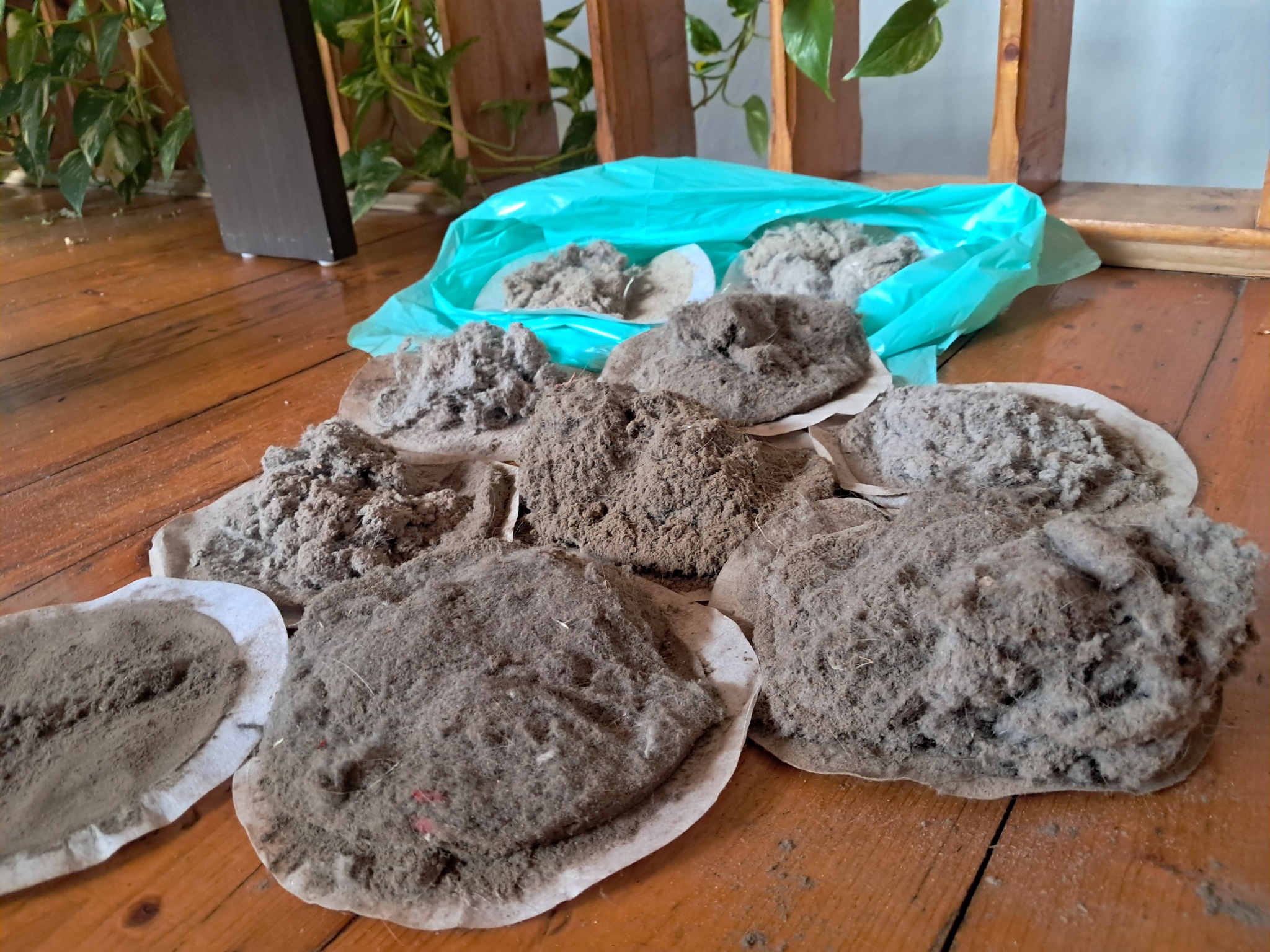 Kłęby kurzu i brudu zebrane podczas sprzątania, ułożone na drewnianej podłodze obok worka. Widoczne drobinki i włókna. Zbliżenie na efekt czyszczenia.