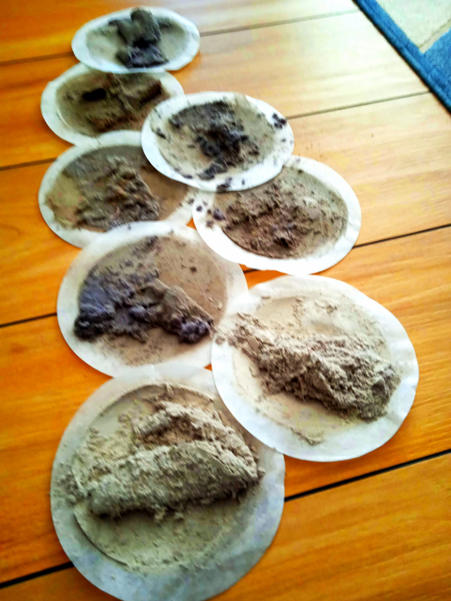 Filtry z zebranym brudem po praniu tapicerki meblowej metodą ekstrakcyjną. Widoczne zanieczyszczenia różnego rodzaju na okrągłych filtrach.