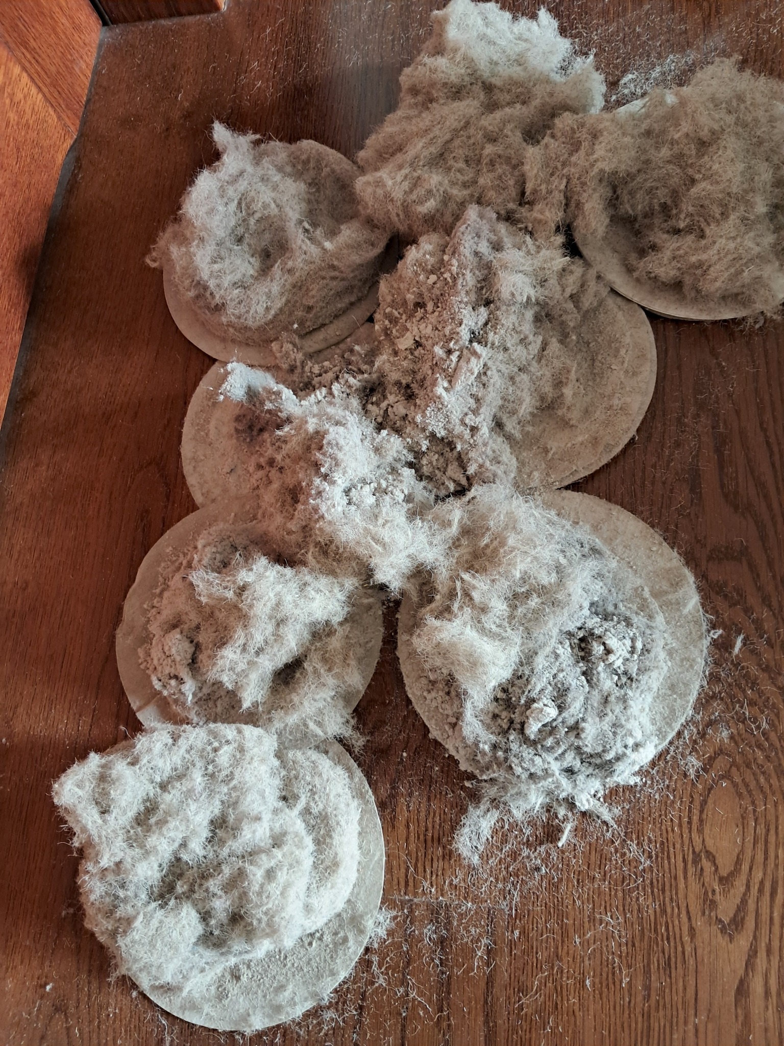 Kłęby kurzu i brudu zebrane po praniu tapicerki na drewnianej podłodze. Widoczne okrągłe podkładki pod kłębami, ukazujące ilość zebranego brudu.