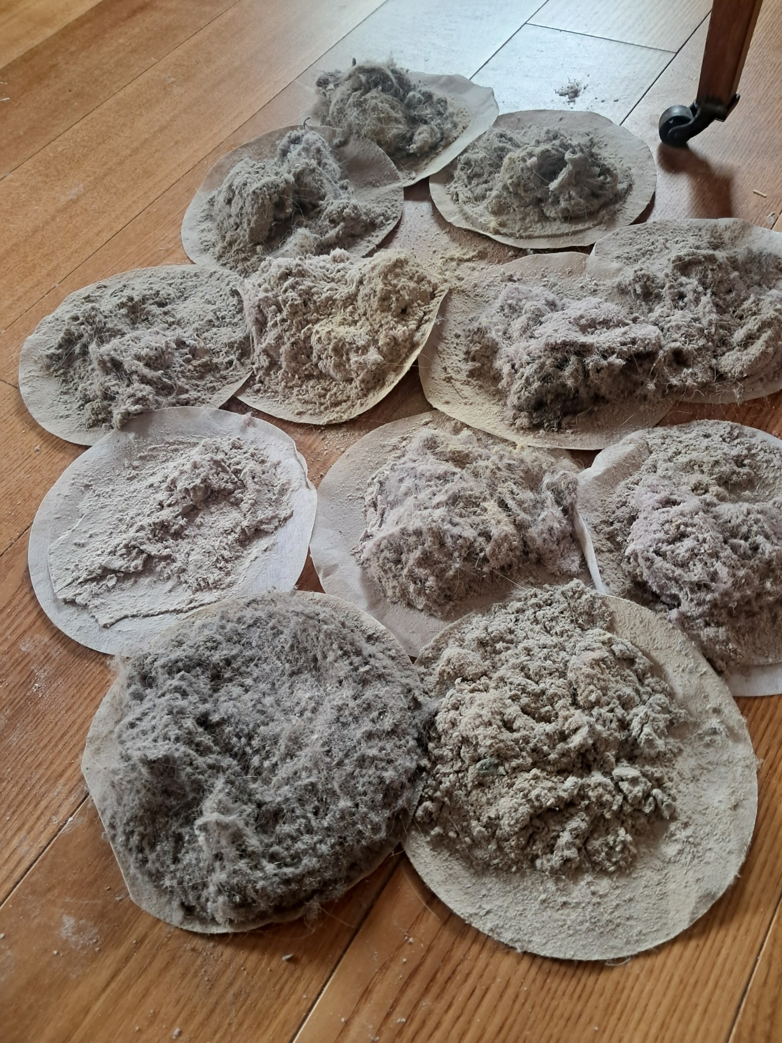 Kłęby kurzu i sierści zebrane na filtrach po czyszczeniu tapicerki, widoczne na drewnianej podłodze. Ukazują efektywność odkurzania i usuwania zanieczyszczeń.