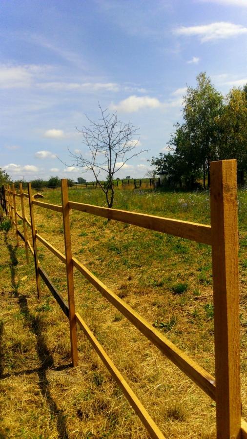 Nowo postawione, drewniane ogrodzenie rancho z trzema poprzeczkami na tle łąki z pojedynczym drzewem i błękitnym niebem.
