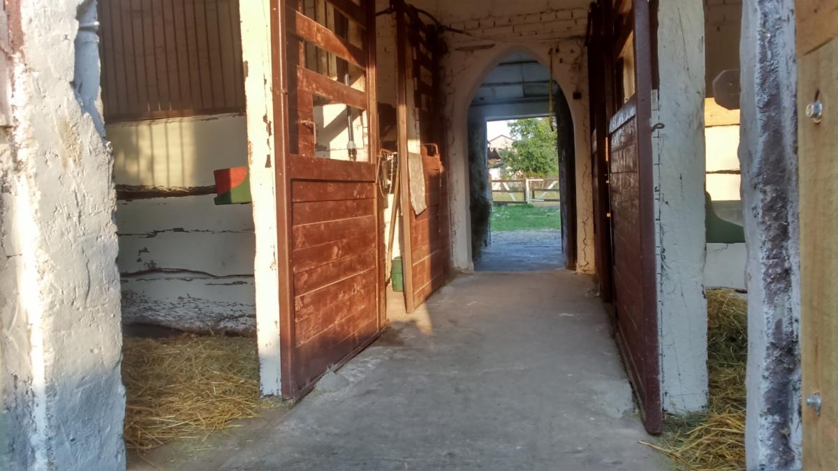 Wnętrze stajni z otwartymi, drewnianymi wrotami i widokiem na zewnątrz, z elementami muru wymagającymi renowacji.