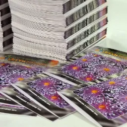 Stosy świeżo wydrukowanych, błyszczących biuletynów z motywem fioletowych astrów, leżące na białym tle, z widocznymi detalami tekstu 'Tarnobrzeg * Listopad 2014'.