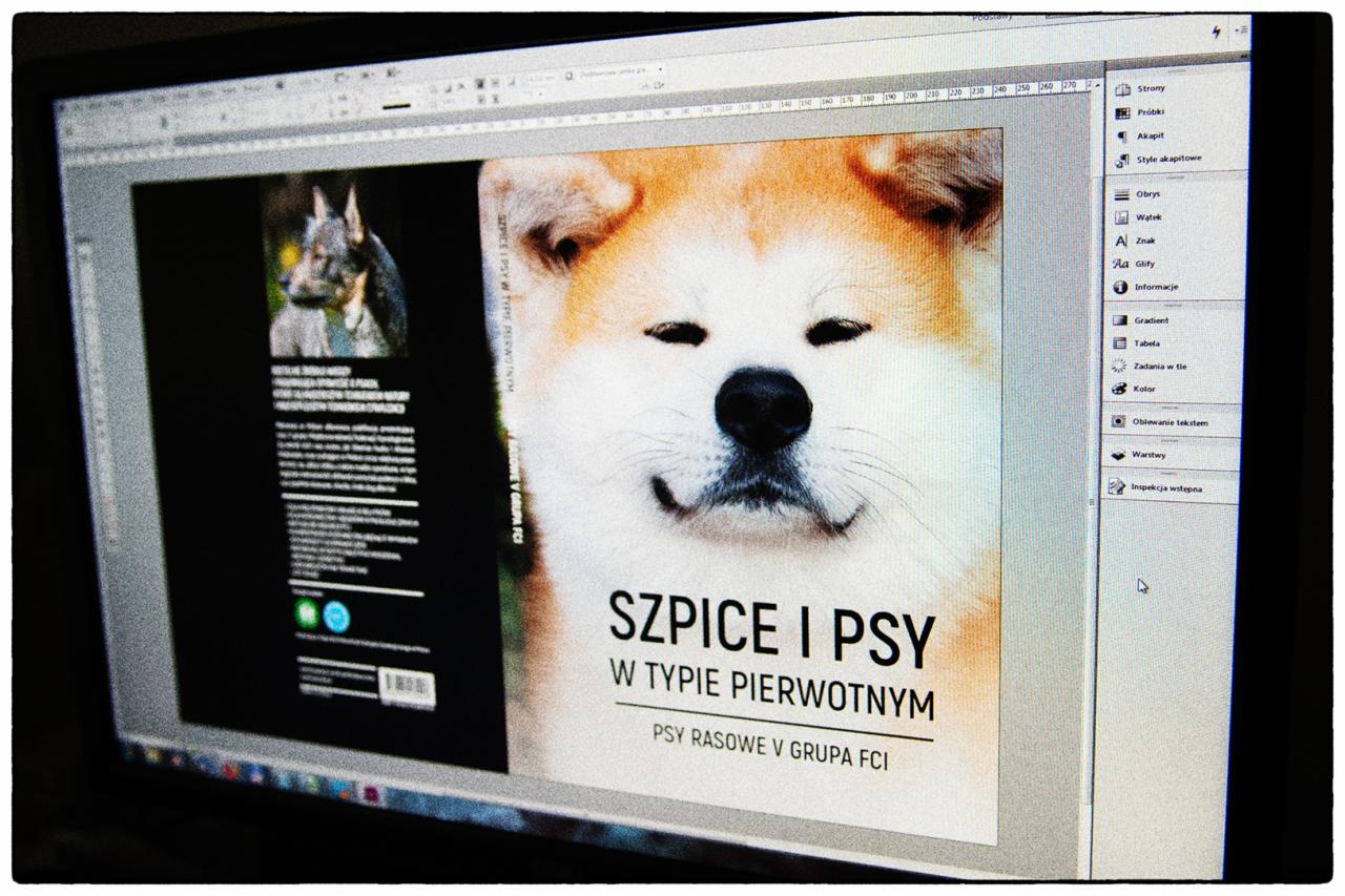 Ekran monitora z otwartym programem graficznym, prezentujący okładkę książki o psach rasy szpic, z wyraźnym zdjęciem psa rasy Akita Inu i tekstem 'Szpice i Psy w typie pierwotnym'.