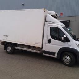 Transport busem Pruszcz Gdański 2