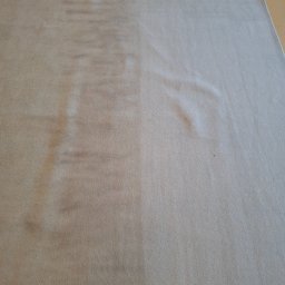 MALEX Michał Kowalski - Dywan po czyszczeniu: widoczna różnica między wypraną (jaśniejszą) a niewypraną (ciemniejszą) częścią. Tekstura dywanu jest wyraźnie odświeżona.