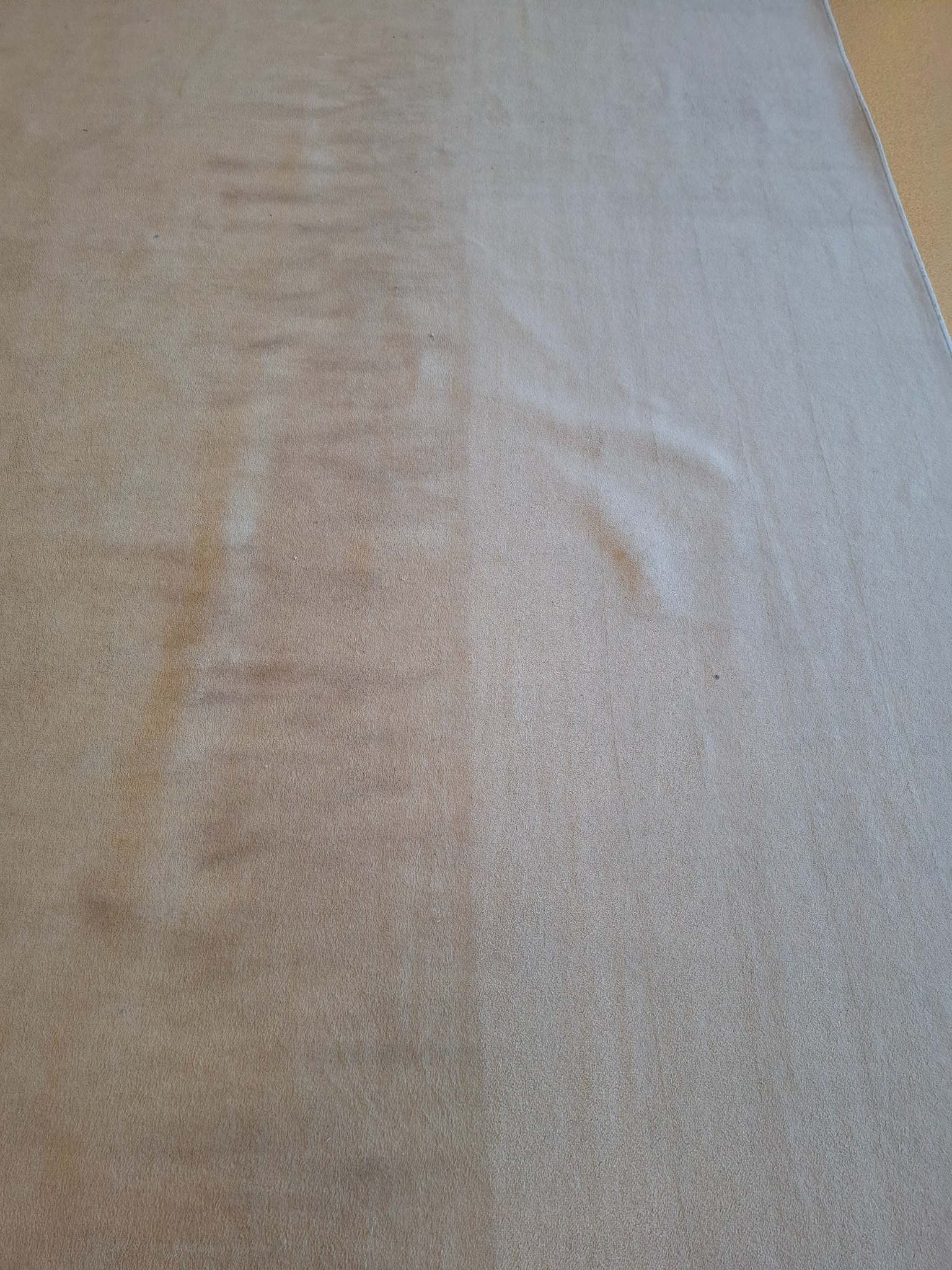 Dywan po czyszczeniu: widoczna różnica między wypraną (jaśniejszą) a niewypraną (ciemniejszą) częścią. Tekstura dywanu jest wyraźnie odświeżona.