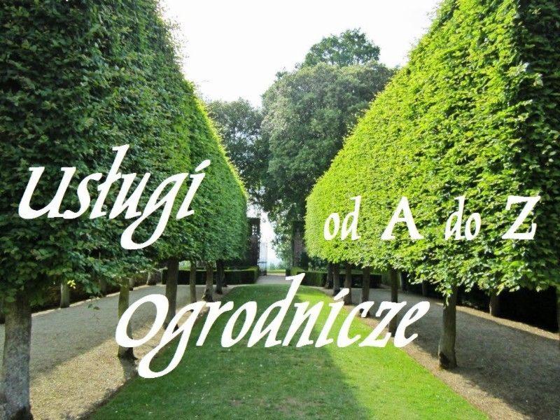 Aleja strzyżonych drzew w kształcie stożków, trawnik, ścieżka żwirowa, w tle budynek, nałożony tekst 'usługi ogrodnicze od A do Z'.