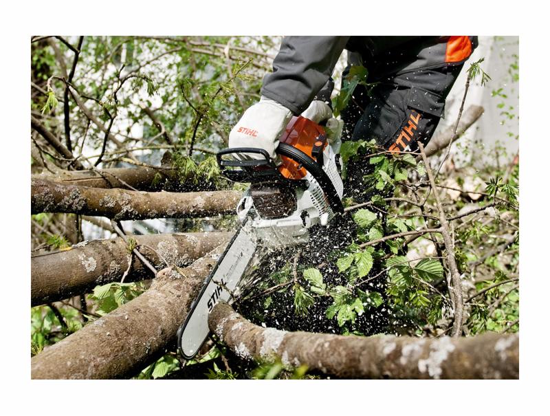 Osoba w rękawicach ochronnych tnie gałąź piłą spalinową Stihl, w tle widoczne zielone liście i inne gałęzie.