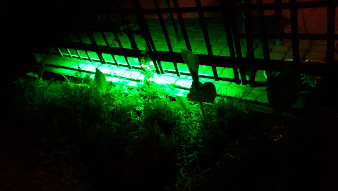 Zielone podświetlenie bramy wjazdowej na posesję, widoczne rośliny w tle, nocna sceneria.