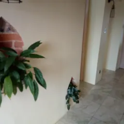 Nietypowa aranżacja wnętrza: roślina w niszy ściennej o kształcie łuku, wykończonej cegłą, z widokiem na korytarz z marmurową podłogą i drewnianymi drzwiami w tle.