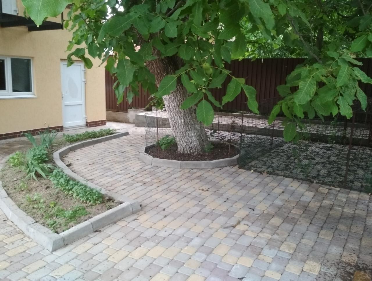 Ułożona kostka brukowa wokół drzewa z zabezpieczeniem, obrzeża rabatki z roślinami przy jasnej elewacji budynku.