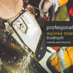 Piła łańcuchowa tnie kłodę drewna, w tle tekst 'profesjonalni drwale wycinka drzew trudnych metodą alpinistyczną'.
