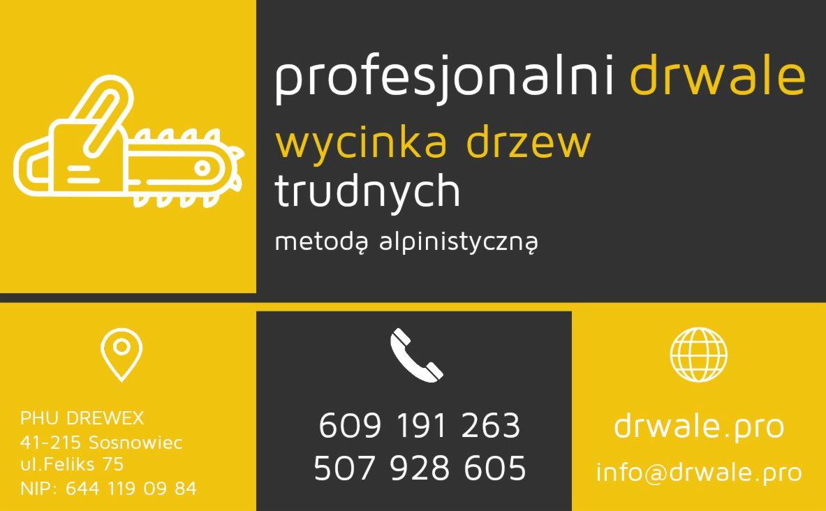 Grafika reklamowa firmy oferującej usługi arborystyczne, z ikoną piły łańcuchowej, hasłem 'profesjonalni drwale', informacją o wycince drzew trudnych metodą alpinistyczną oraz danymi kontaktowymi...