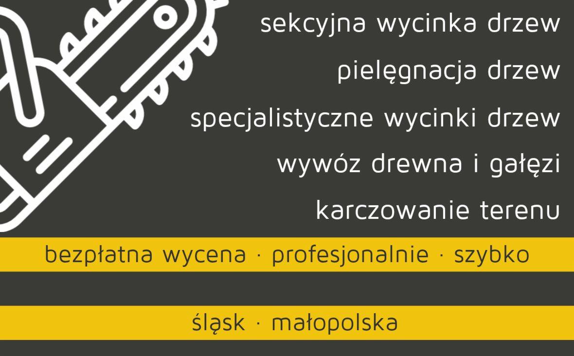 Grafika wektorowa przedstawiająca piłę łańcuchową obok listy usług: sekcyjna wycinka drzew, pielęgnacja drzew, specjalistyczne wycinki drzew, wywóz drewna i gałęzi, karczowanie terenu. Poniżej...
