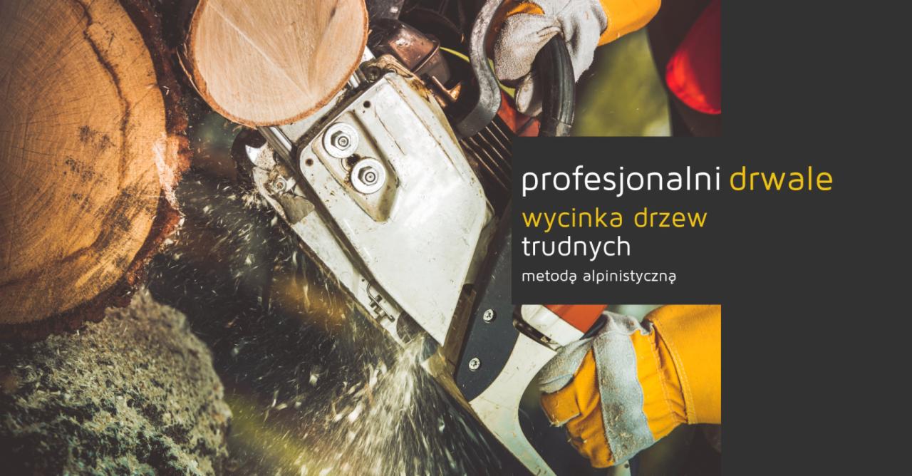 Piła łańcuchowa tnie kłodę drewna, w tle tekst 'profesjonalni drwale wycinka drzew trudnych metodą alpinistyczną'.