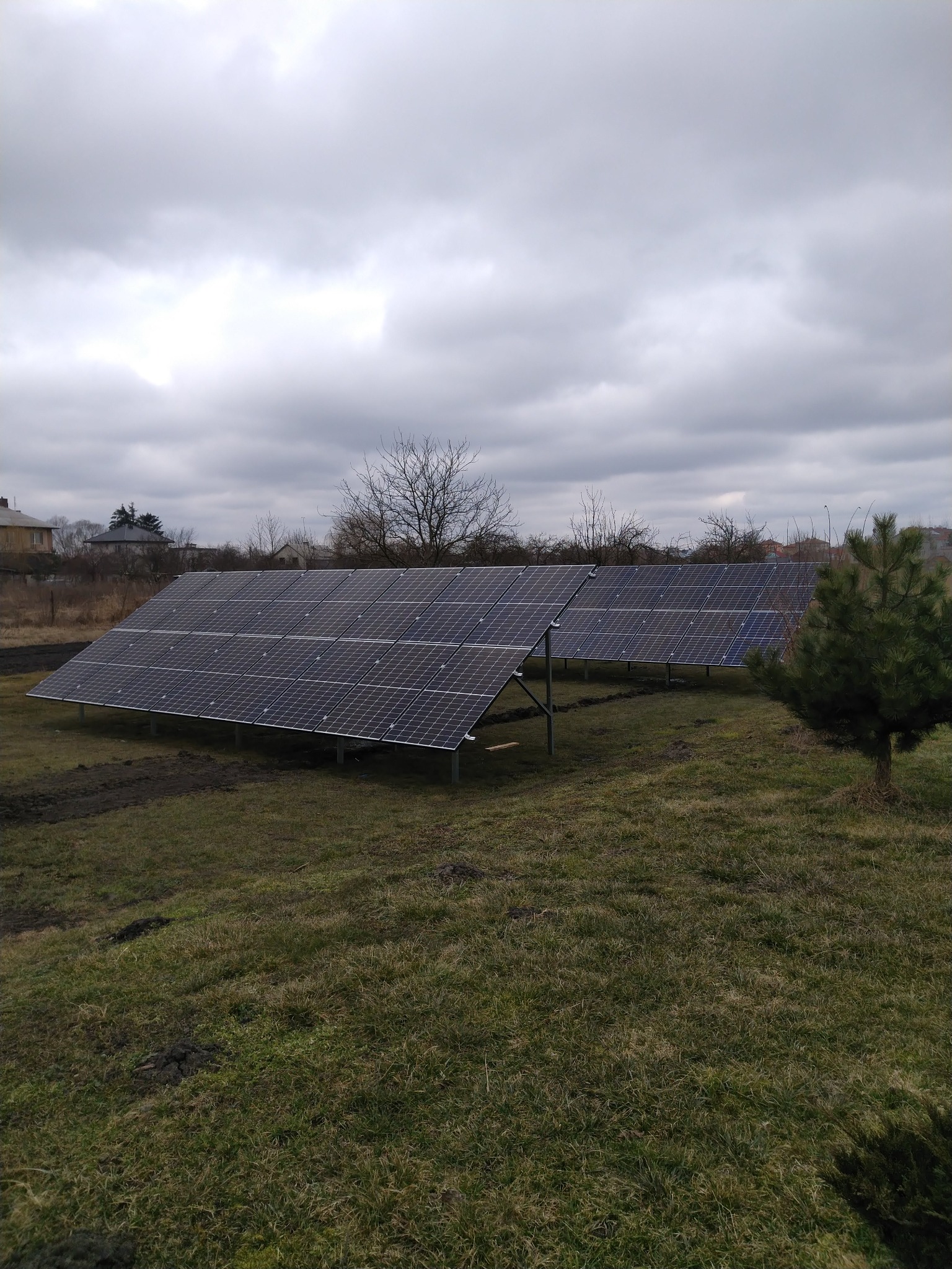 Dwa rzędy paneli słonecznych na metalowych konstrukcjach, ustawione na trawiastym terenie z młodym drzewkiem iglastym po prawej stronie, pochmurne niebo w tle.