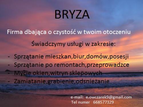 Folder reklamowy firmy sprzątającej Bryza z listą usług: sprzątanie mieszkań, biur, domów, posesji, sprzątanie po remontach, przeprowadzce, mycie okien, witryn sklepowych, zamiatanie, grabienie...
