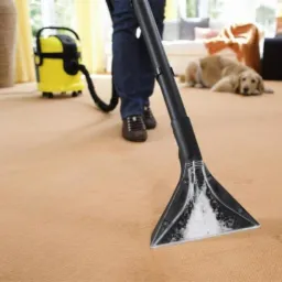 Czyszczenie dywanu beżowego odkurzaczem piorącym Kärcher; w tle leży pies rasy Golden Retriever.