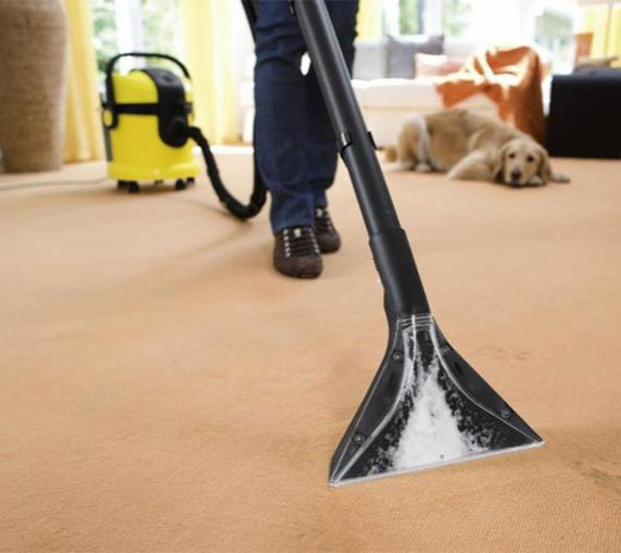 Czyszczenie dywanu beżowego odkurzaczem piorącym Kärcher; w tle leży pies rasy Golden Retriever.