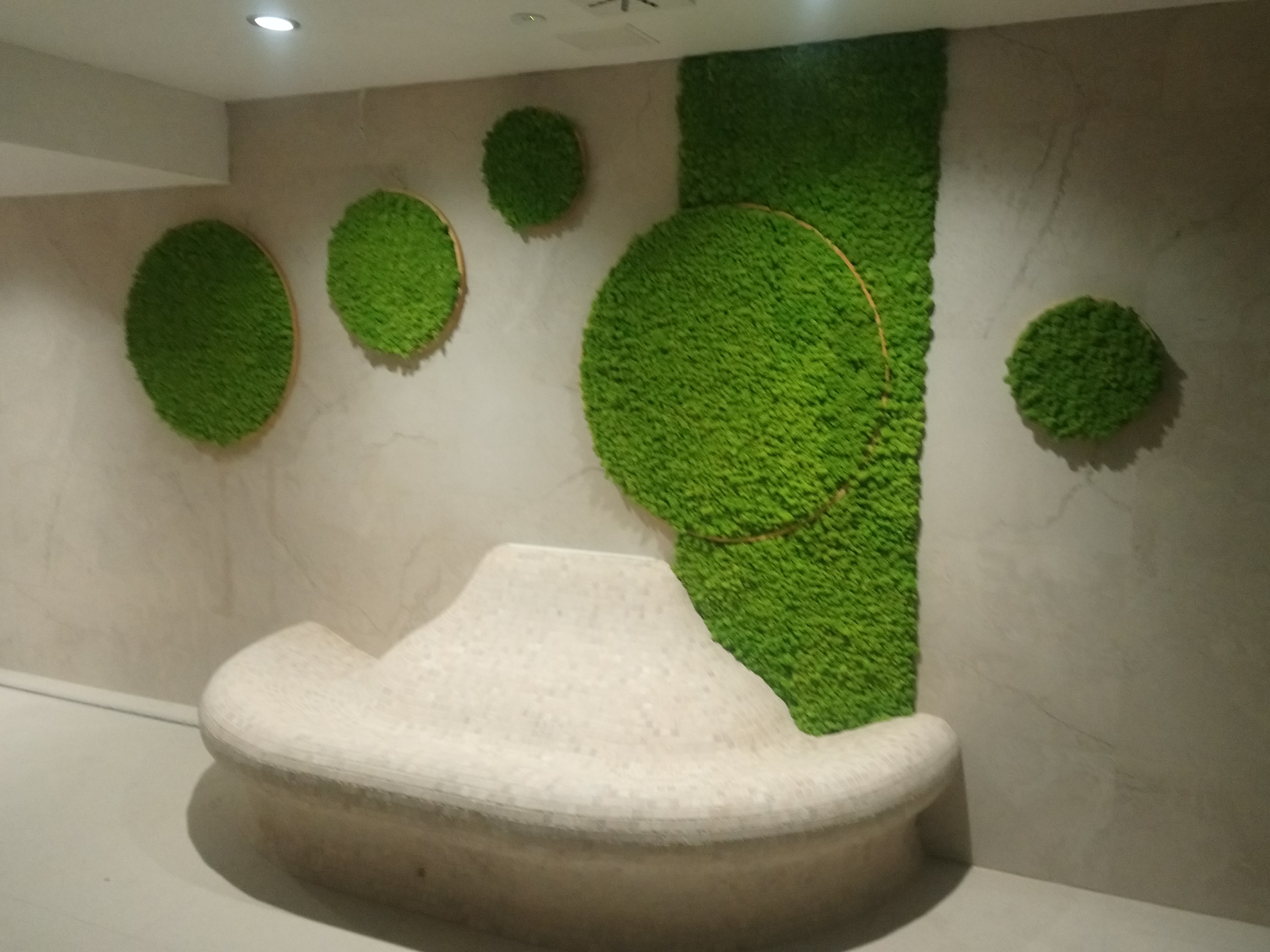 Nowoczesna aranżacja wnętrza z dekoracyjnymi panelami z mchu w okrągłych ramach i pionowym pasie oraz oryginalną, jasną ławką o organicznym kształcie.