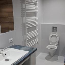 CLEAN MASTER BY TRUST TREE - Nowoczesna łazienka w odcieniach szarości i bieli z akcentem drewnopodobnej okładziny na ścianie odbijającej się w lustrze, widoczny grzejnik drabinkowy, toaleta i umywalka z blatem imitującym kamień.