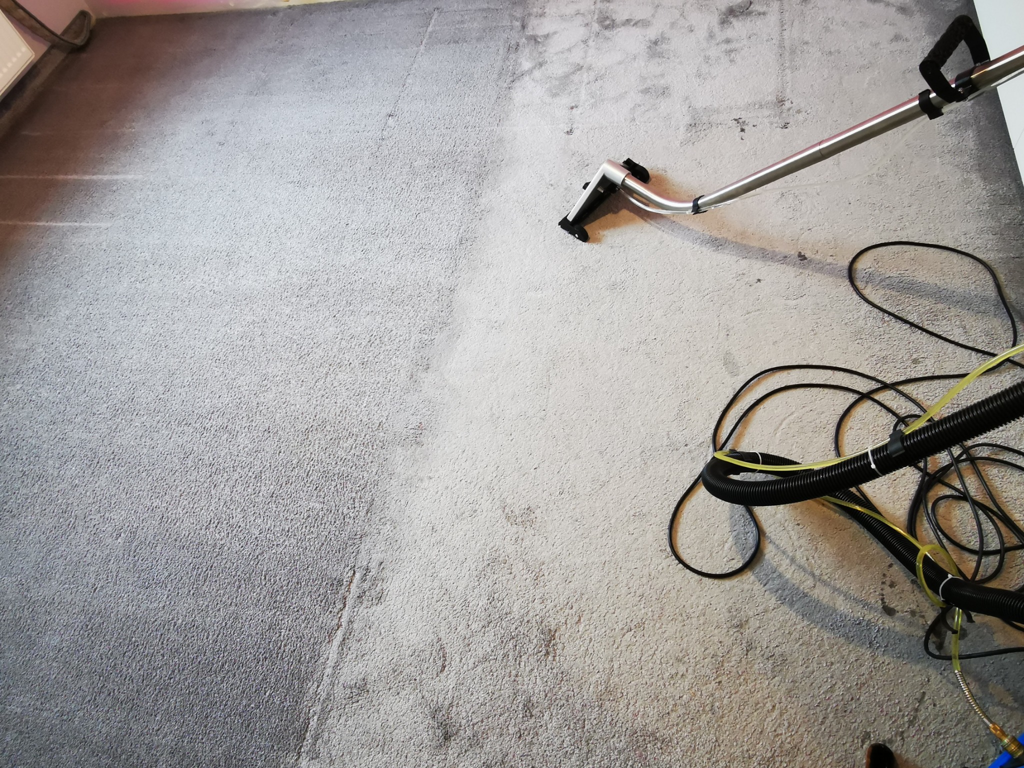 Dywan z wyraźną różnicą w czystości: lewa strona ciemniejsza, prawa jaśniejsza po czyszczeniu, widoczna dysza urządzenia do czyszczenia i węże.