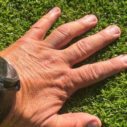 Trawa z rolki Piła 4