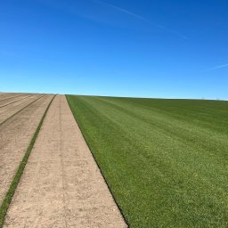 FIRMA HANDLOWO-USŁUGOWA SEBASTIAN AUGUSTYN - Świeżo ułożona trawa z rolki na dużej powierzchni, widoczne równe pasy ziemi przygotowane pod kolejne rolki, błękitne niebo w tle.