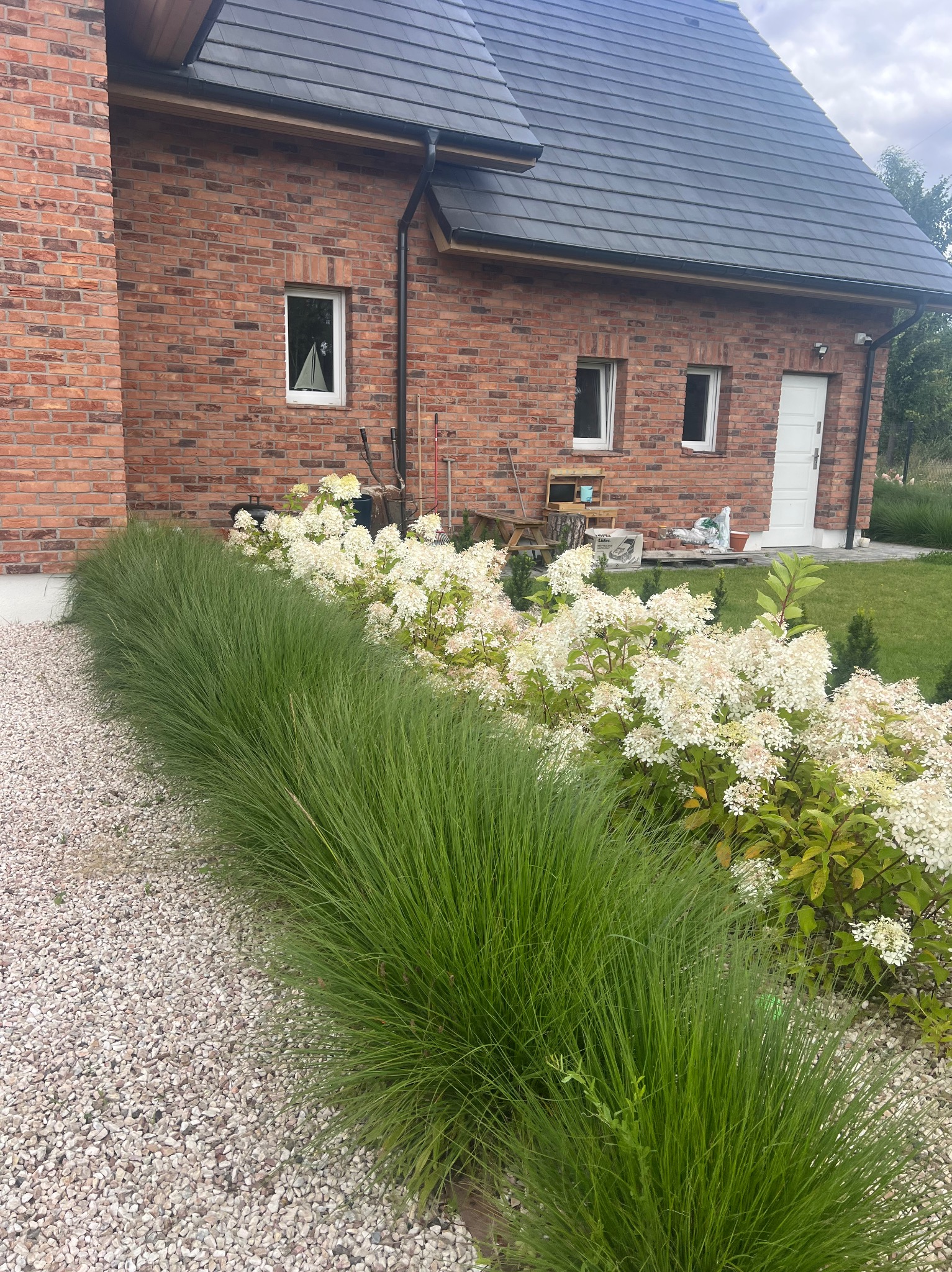Ogród z ozdobnymi trawami i kwitnącymi hortensjami na tle ceglanego domu z szarym dachem. Żwirowa ścieżka oddziela rośliny od budynku.
