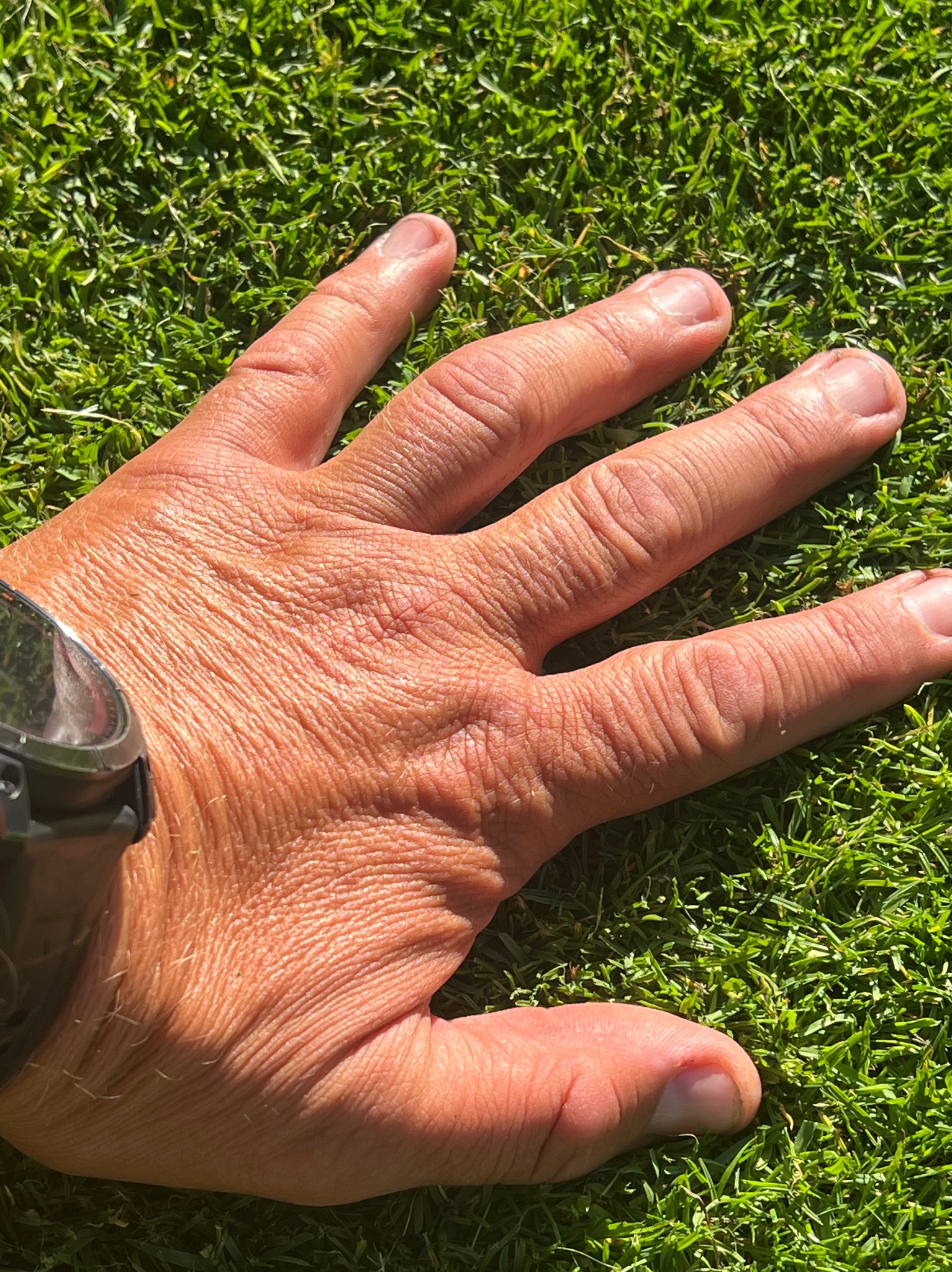 Dłoń z zegarkiem spoczywająca na soczystej, zielonej trawie. Bliskie ujęcie podkreśla strukturę dłoni i detale źdźbeł trawy w jasnym, naturalnym oświetleniu.