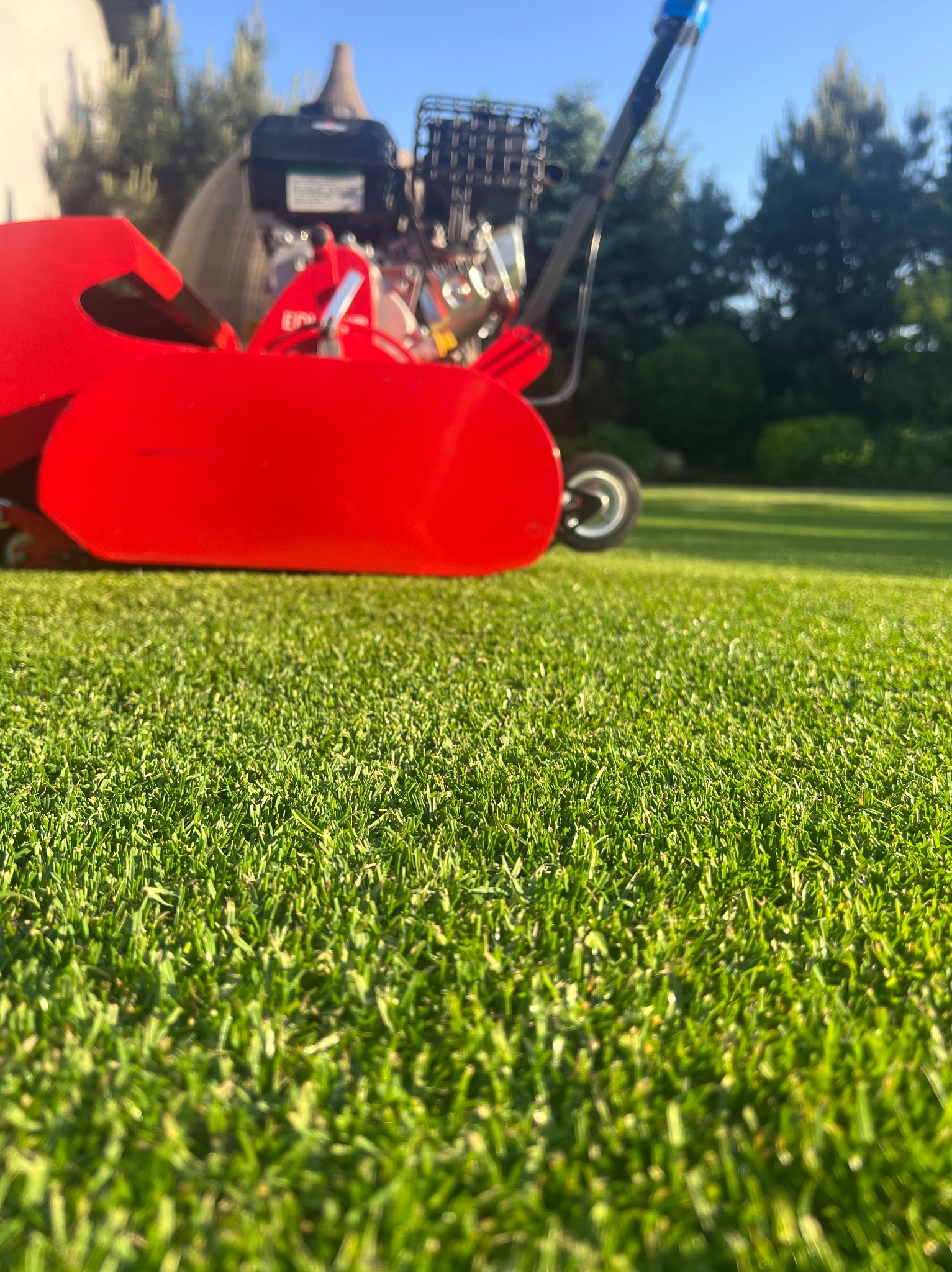 Czerwony aerator do trawy na tle gęstej, zielonej murawy w słoneczny dzień. Maszyna do pielęgnacji trawnika z silnikiem spalinowym i koszem na urobek.