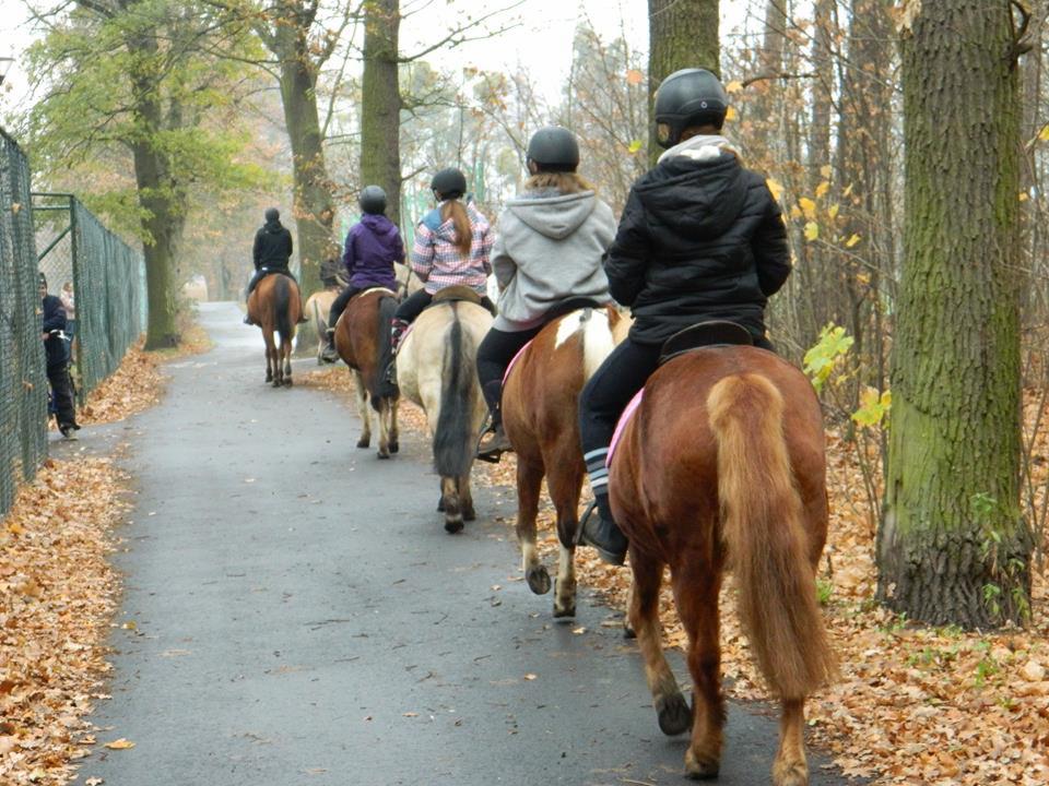 Grupa osób w kaskach jeździ konno po ścieżce w parku w jesiennej scenerii, widok z tyłu na konie i jeźdźców.