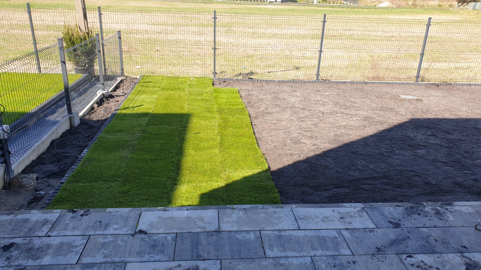 Układanie trawy z rolki w ogrodzie, widoczny fragment ułożonej trawy i przygotowany teren, ogrodzenie panelowe w tle.